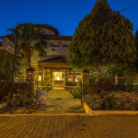 ホテル Basar ダルヤン